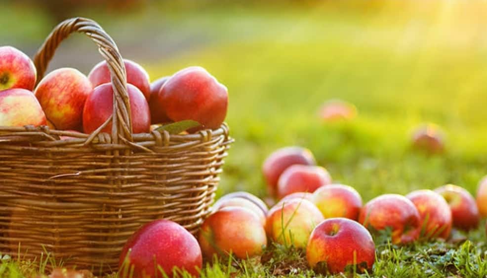 How to get the most out of your apples